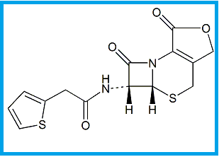 CEFALOTIN EP IMPURITY D 